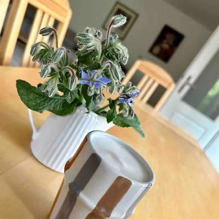 Landzeit Appartement