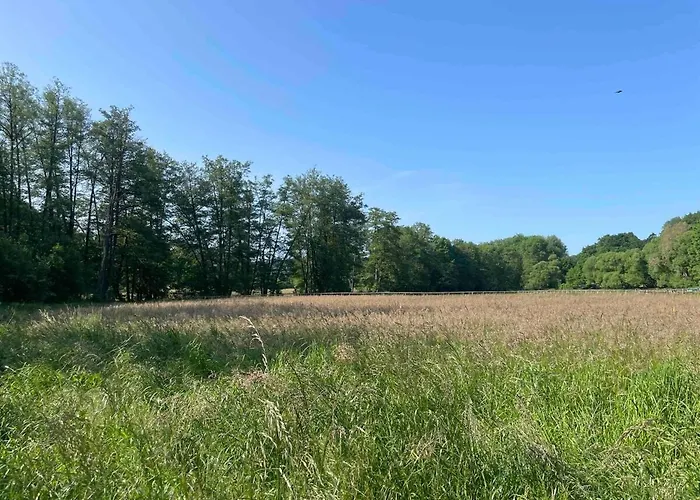 Landzeit شقة Bad Soden-Salmünster